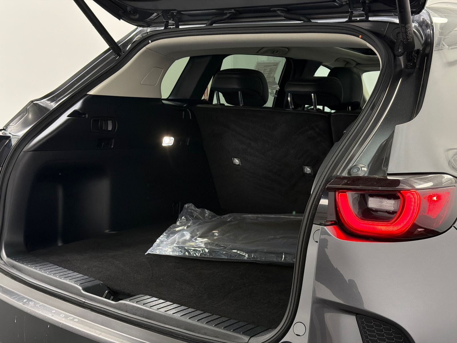 2025 Mazda Mazda CX-50 2.5 S Premium Plus Package